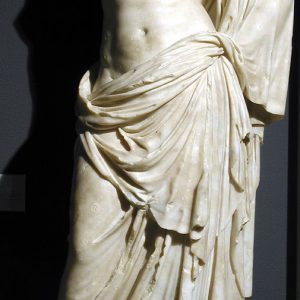 0320. Venus, Roma. Real Sociedad Económica de Amigos del Pais. S. I a.E