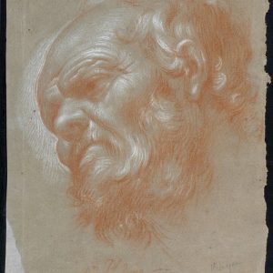 Cabeza de San Felipe. Dibujo a sanguina sobre papel. Francisco Bayeu. Hacia 1780. Inv. 9216.