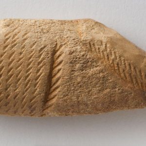 Fragmento de cuerno decorado. Paleolítico superior. 16.500 a.E. Cueva del Gato 2 (Épila, Zaragoza). Inv. 48006.