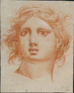 Cabeza de Ángel. Dibujo a lápiz de sanguina. Francisco de Goya y Lucientes. 1772. Inv. 51361.