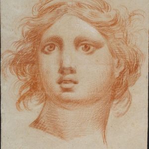 Cabeza de Ángel. Dibujo a lápiz de sanguina. Francisco de Goya y Lucientes. 1772. Inv. 51361.
