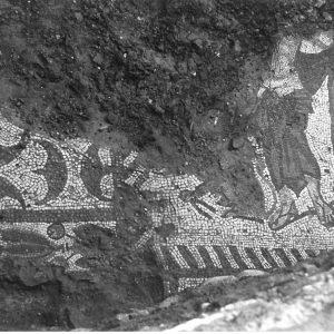 Baco en la excavación de 1971