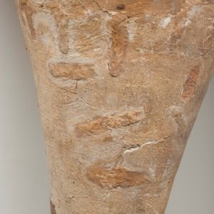 Detalle del lañado