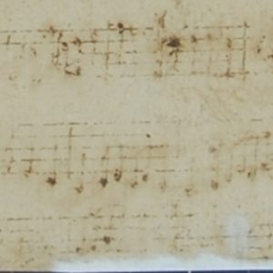 Detalle de la reintegración del soporte