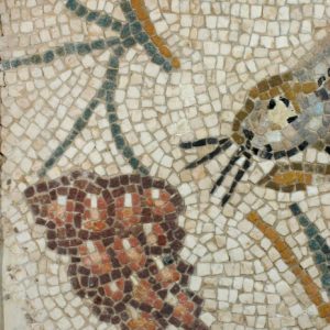 Detalle de uvas en el pavimento del oecus
