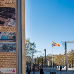 Se ofrece una cumplida información