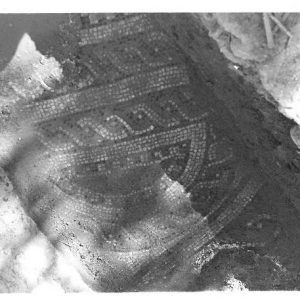 Mosaico de La Almunia 1967_3