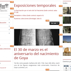 Detalle porcentual de preferencias de navegación en nuestra página principal.