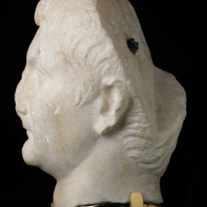 Druso de perfil (Fot. M. Gracia)