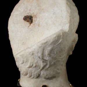 Druso, parte posterior (Fot. M. Gracia)