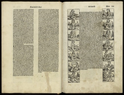 "Liber Chronicarum", AAVV, 1493. Biblioteca Nacional de España. Foto: Biblioteca Nacional de España.