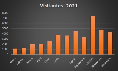 Gráfico de visitantes Museo de Zaragoza 2021