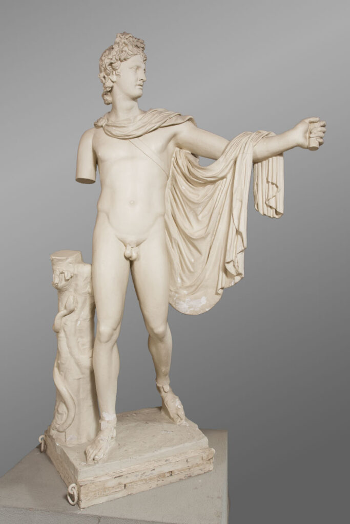 Apolo de Belvedere. Yeso. Anónimo. Hacia 1788. Inv. 07685. Foto: J. Garrido. Museo de Zaragoza.
